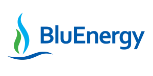 Cliente Blu Energy Tribano Bagnoli Padova