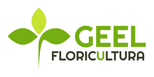 Cliente Geel Floricoltura Este Padova